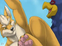 Furry yellow dog got banged by gay blue bird